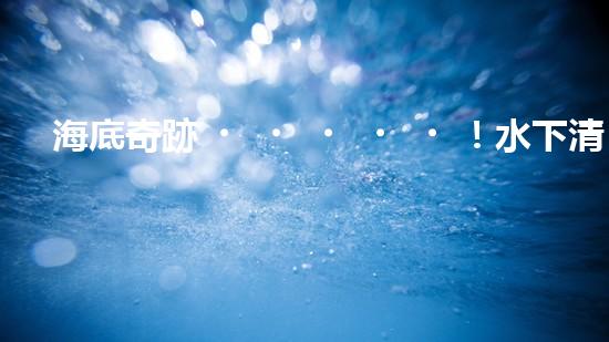 海底奇跡！水下清淤機(jī)器人：解放河道，保護(hù)水環(huán)境！